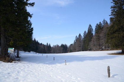 Creuxduvan-20150315_133859_web