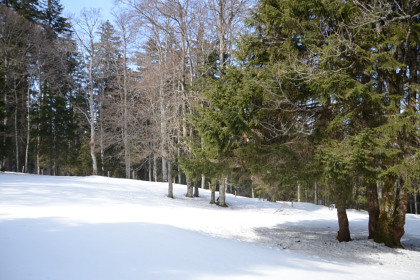 Creuxduvan-20150315_134759_web