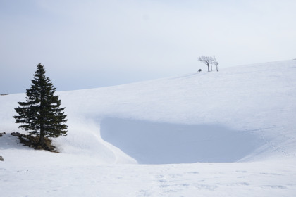 Creuxduvan-20150315_151651_web