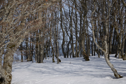 Creuxduvan-20150315_153110_web