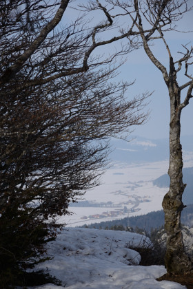 Creuxduvan-20150315_153447_web