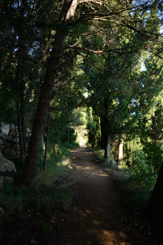 Dubrovnic-20140622_174425