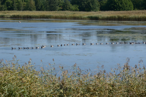 Helsinki-20140805_123747