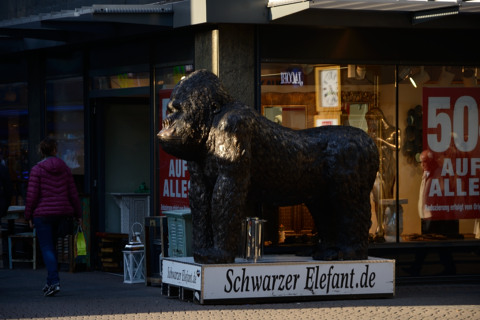 Köln-20150509_183450_web