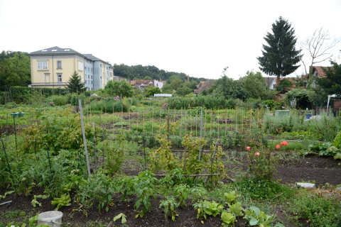 Ljubljana-20140709_163158_web