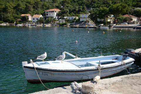 Mljet-20140623_162650