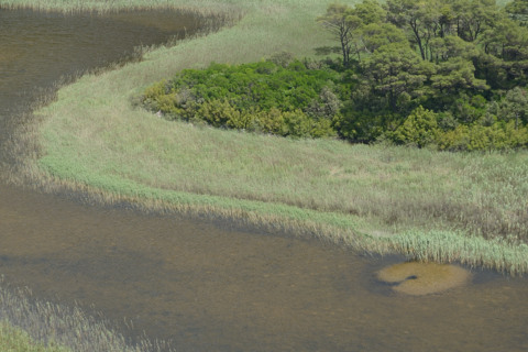 Mljet-20140624_115641