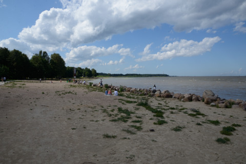 Peterhoff-20140801_145754