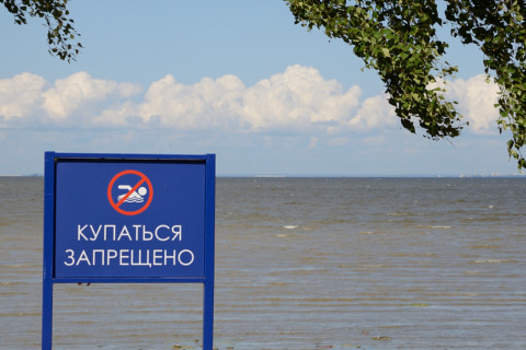 Peterhoff-20140801_150701