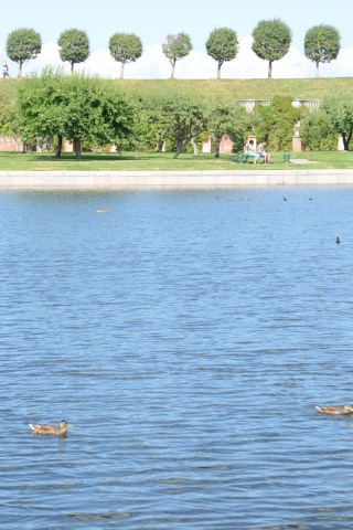 Peterhoff-20140801_154432