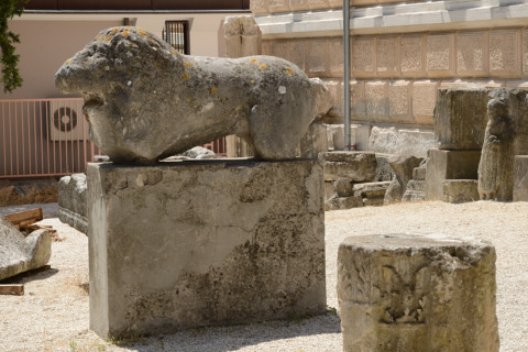 Pula-20140705_115818_web