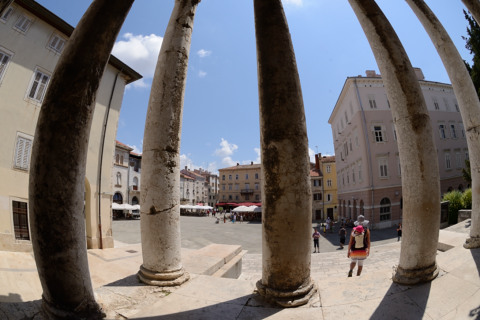 Pula-20140705_132656_web