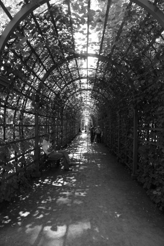 St Peterburg-20140727_132359