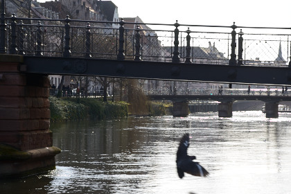 Strasbourg-20150228_155046_web