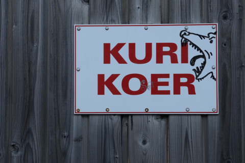 Tallinn-20140803_185950