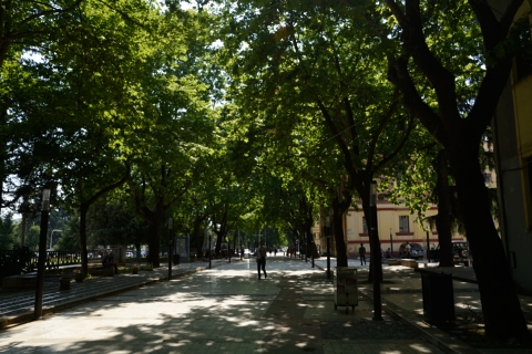 Tirana-20140604_155135