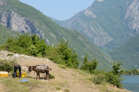 Valbonë-20140607_100454