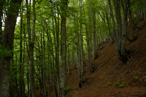 Valbonë-20140608_130243
