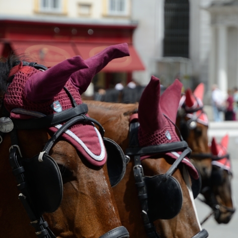 Wien-20140524_065727