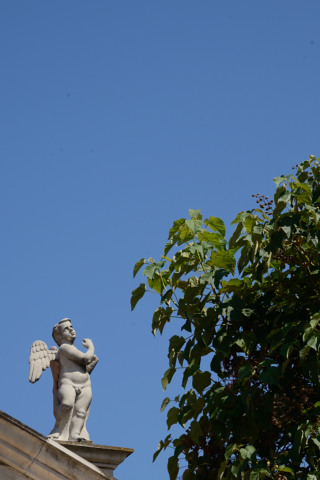 Zadar-20140629_102331_web