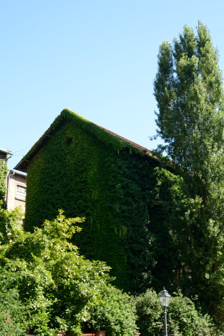 Zagrev-20140702_160838_web