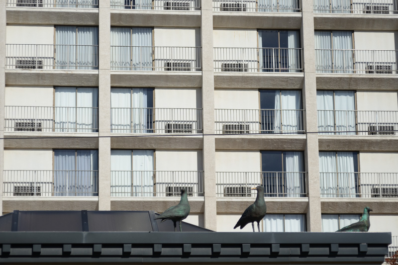 salt-lake-city_20161021_191812