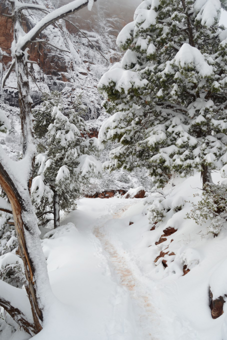 zion_20161225_211403