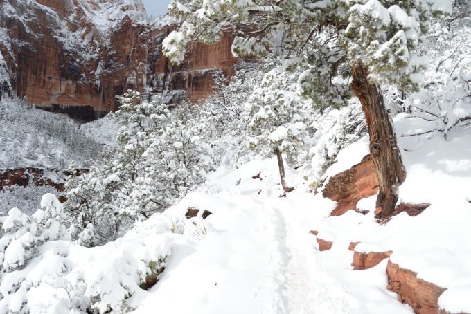 zion_20161225_212020