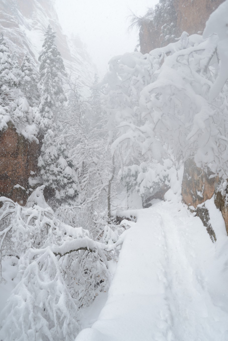 zion_20161225_222934