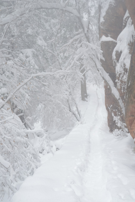 zion_20161225_223138