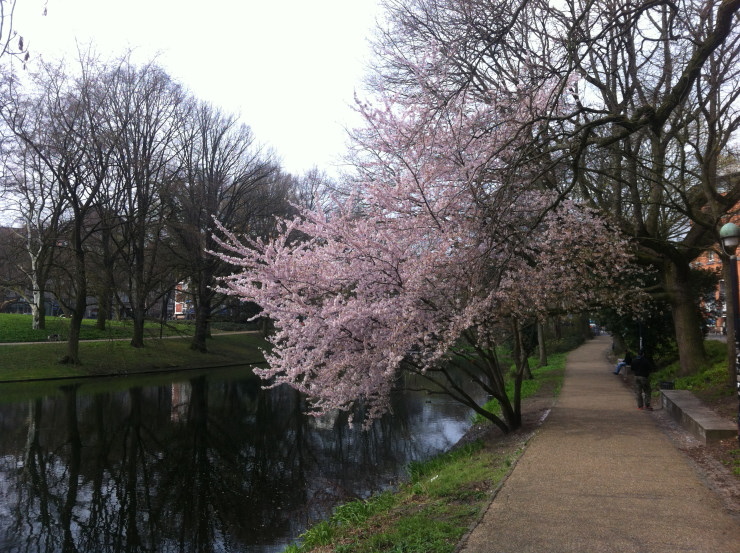 bremen-20160412_115806