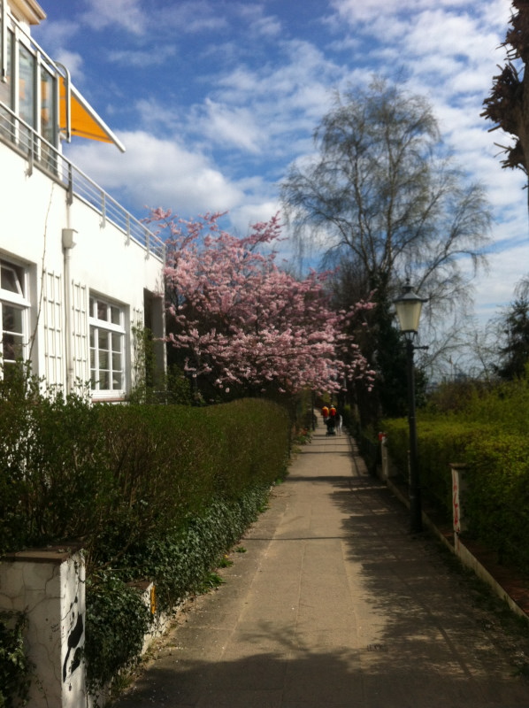 hamburg-20160411_130628