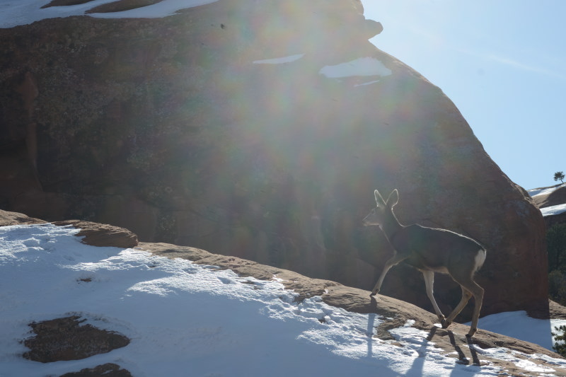 moab_20161230_205744