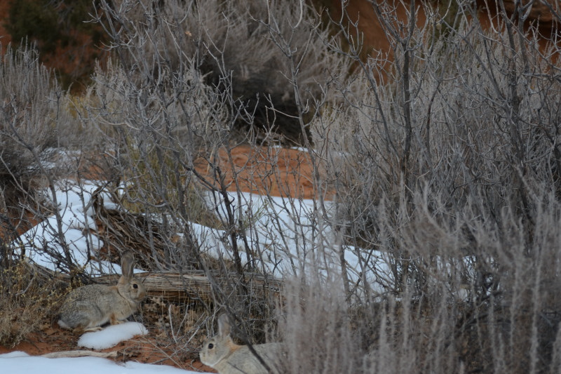 moab_20161231_001746