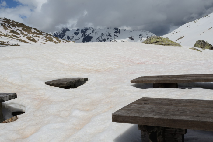 Mesitas cubiertas por la nieve