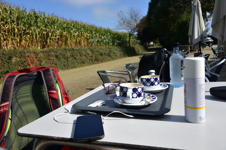 Camino de Santiago III