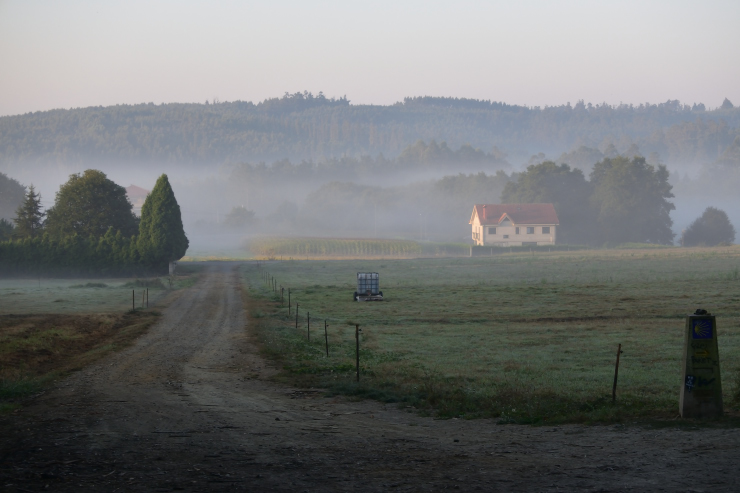 Camino de Santiago