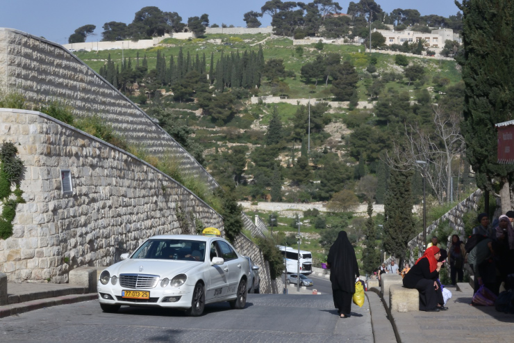 El monte de los olivos