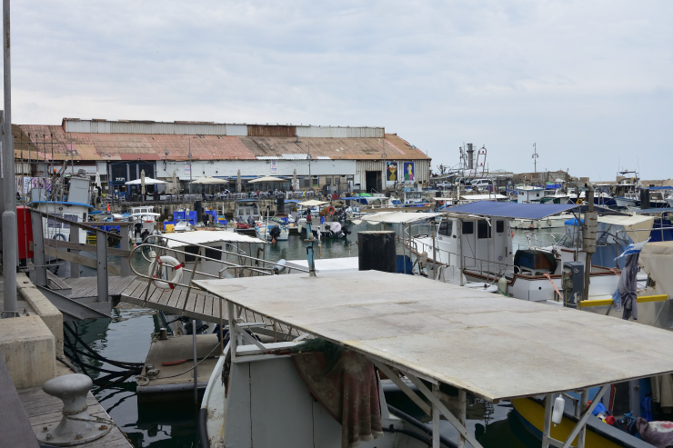 Puerto de Jaffa