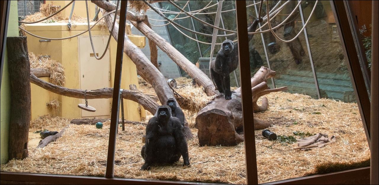 orilas en Basel, aburridos de lo lindo.