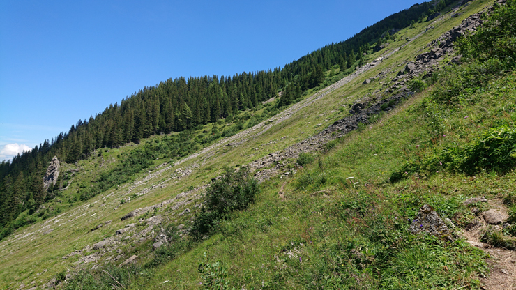 Camino hacia Niesen en la parte que es difícil de reconocer