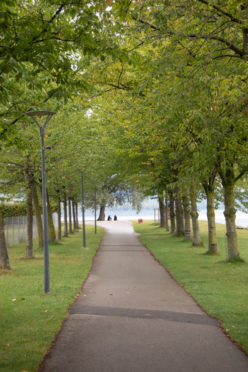 Camino hacia el lago en Yverdon les Bains