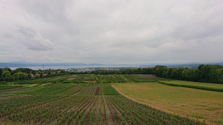 Por Fin! Vista del lago Lemán y Lausanne!
