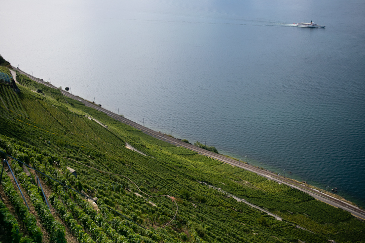 Las terrazas de Lavaux con el lago Lemán de fondo