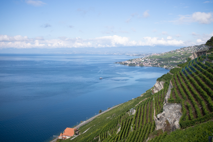 Las terrazas de Lavaux con Lausanne de fondo