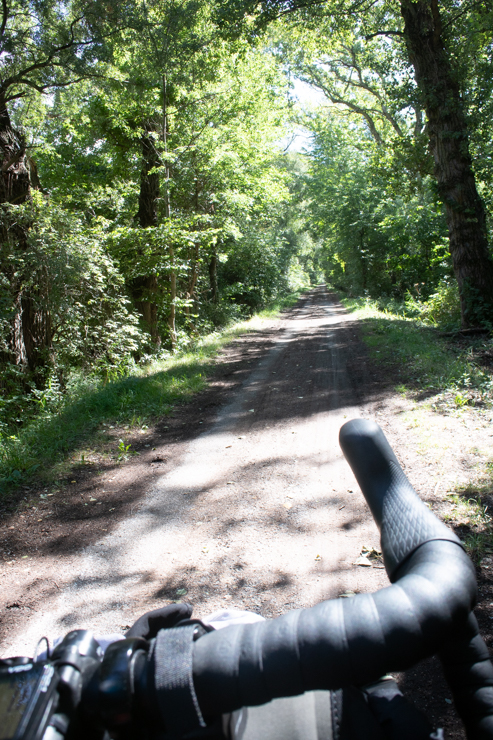 Trocha entre los bosques de Valais al lado del Ródano