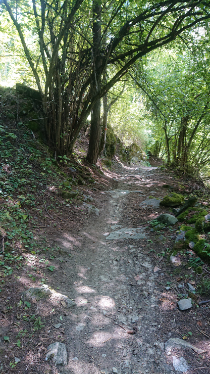 Amplio sendero para la bicicleta