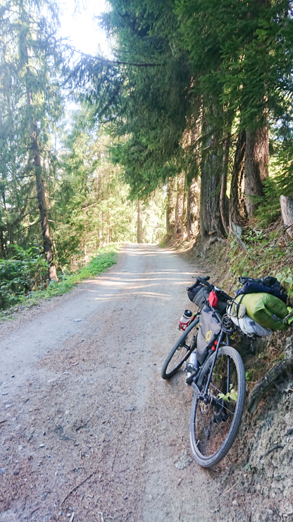 Linda trocha hacia Binn