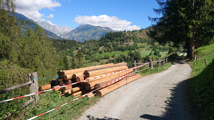 Linda trocha hacia Binn