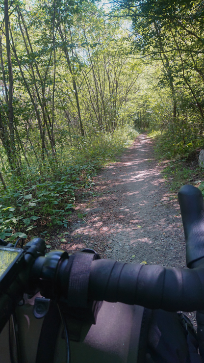 Caminito entre bosques en el ticino